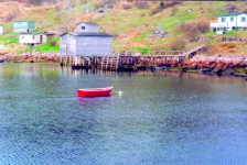 507: Leonard Mulrooney jr's dory in Red Island harbour. (circa 2000) [courtesy of Madonna (Bishop) Mulrooney]